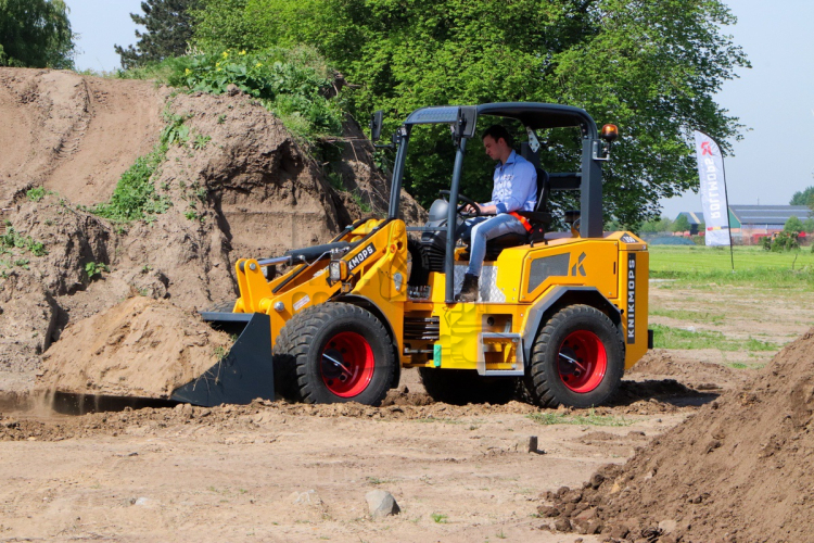 Ontmoet de grootste Knikmops ooit